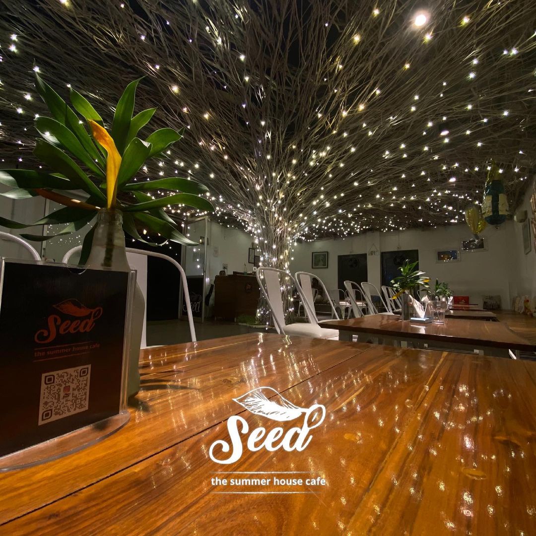 Image showcasing Home - Seed Resort